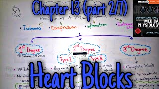 Heart blocks  chapter 13 part 27  Guyton and Hall text book of physiology [upl. by Hoxsie]