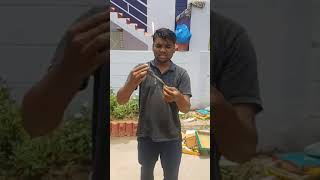 snake lovers ❤️🤩 🐍🐍 rescue 🙂 😍 dangerous like comment shareandsubscribelikeforlikesrpmshortvide [upl. by Wanyen]