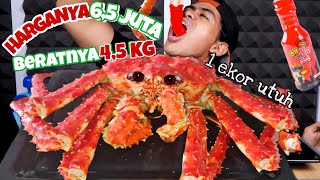 UDAH GILA MUKBANG KEPITING RAKSASA ALASKA UTUH PAKE SAUS SAMYANG NUCLEAR ALASKAN KING KRAB [upl. by Maryanne334]