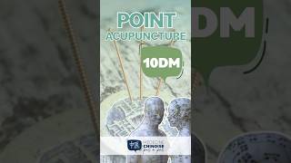 POINT D’ACUPUNCTURE  10DM  Ling Tai acupuncture acupuncturepoints medecinechinoise [upl. by Krissie]