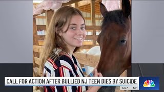 Bullied Teen Takes Own Life 2 Days After Students Took Video of Assault at NJ School  NBC New York [upl. by Zizaludba]