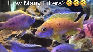 Overfiltration Running Multiple Filters on African Cichlid Tanks [upl. by Supen13]