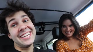 DAVID DOBRIK BEST MOMENTS OF 2019 [upl. by Matilde720]