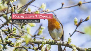 Förslag till nya 312regler [upl. by Ggerk]