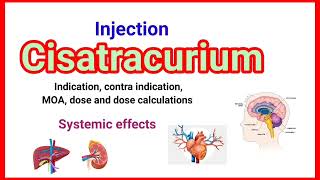 Inj Cisatracurium detail presentation anaesthesiawithbabar2576 [upl. by Keiko764]