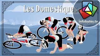 The Tour De France Explained in Animation [upl. by Piderit]