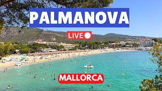 Live in Palmanova Mallorca Majorca  8 September 2024 [upl. by Anneres814]