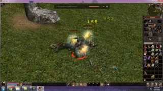 Metin2 AntiFlyDmg HACK [upl. by Airrej783]