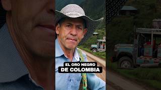 Documental De Café Colombiano  Teaser Oficial ☕️ DocumentalDeCafé Shorts Colombia [upl. by Raphaela]