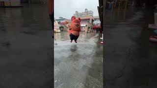 Funny bababa Crazy daily life Meili Dream City Changshu super fun amusement park Changshu [upl. by Ahseenyt208]