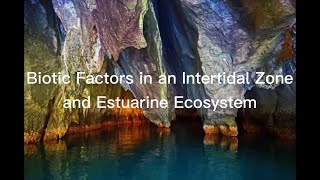 Biotic Factors in an Intertidal Zone and Estuarine Ecosystem [upl. by Anicnarf]