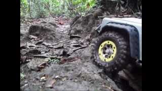 Part2 11 Trucks crawling  RC Trail Adventures at Chestnut Ave  SG Crawler Mudding [upl. by Monia63]