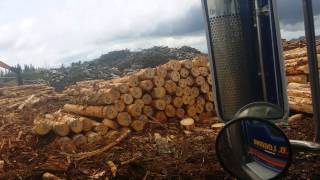 Stem Truck Logging Loaded Part 2 [upl. by Hufnagel]