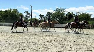 Chincoteague Pony Drill Team [upl. by Dlonyar611]