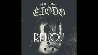 Peso Pluma Ivan Cornejo  Reloj Audio Official [upl. by Okun920]