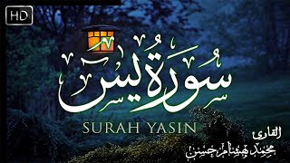 سورة يس كاملة  القارئ محمد هشام Surah yaseen [upl. by Popelka]