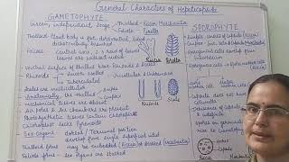 General Characters of Class Hepaticopsida BSc Part I Dr Vinod Kumari [upl. by Jaffe]