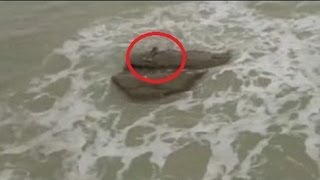 Jovenes captan a sirena en playa de Israel [upl. by Ocko831]