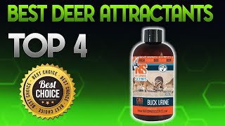 Best Deer Attractants 2019  Deer Attractant Review [upl. by Imoen]