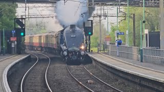 Steam Dreams Excursion  60007 Sir Nigel Gresley passing Kings Langley  110524 [upl. by Assirk]