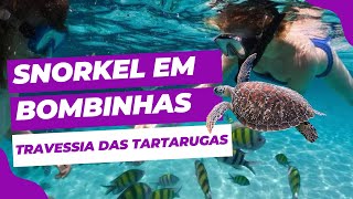 Snorkel em Bombinhas  Travessia das tartarugas [upl. by Jedthus]