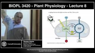 BIOPL3420  Plant Physiology  Lecture 8 [upl. by Avad]