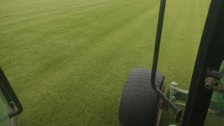 Zoysia Grass Installed zoysia sod farming lawncare landscape foryou [upl. by Kcirre]