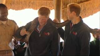 Princes William and Harry Brothers and Friends [upl. by Casi]