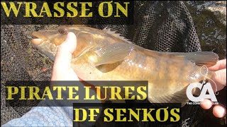 LURE FISHING FOR WRASSE  Pirate Lures  DF Senko [upl. by Willock]