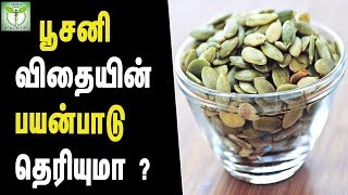 pumpkin seeds health benefits  Tamil Health Tips [upl. by Aliban786]