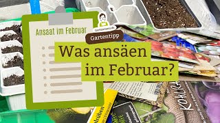 Welches Gemüse kann man im Februar ansäen Aussaatkalender Vorkultur im Februar [upl. by Loralee]