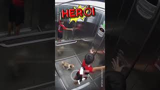 🔴⚫ Herói Flamenguista salva seu cachorrinho 😍🥰❤️🖤 [upl. by Aldas]