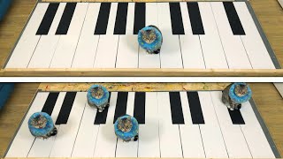 Cats Play GIANT PIANO [upl. by Eniala]