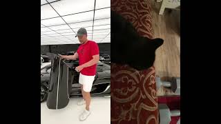 Mimi vs Mrbeast automobile money luxury funny comedy cat catvideos funnycatvideos minecraft [upl. by Oicor621]