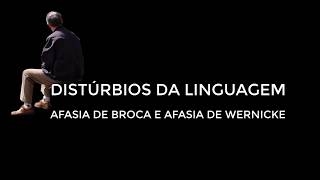 NEUROPSICOLOGIA CLÍNICA  DISTÚRBIOS DA LINGUAGEM  AFASIA DE BROCA E DE WERNICKE  DEMONSTRAÇÃO [upl. by Aneen289]