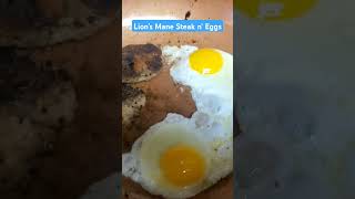 Lions Mane Mushroom Steak and Eggs mushrooming [upl. by Mond]