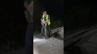 In the Everglades Florida a hunter caught a 17foot Burmese pythonBy the way pythons are captured [upl. by Sewole]