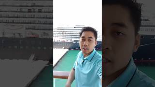 review of the Holland America Line Oosterdam cruise ship cruiseship shorts review fypシ [upl. by Puklich]