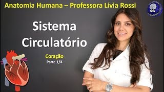 Anatomia Humana  Sistema Circulatório  Coração 14 [upl. by Irmgard]