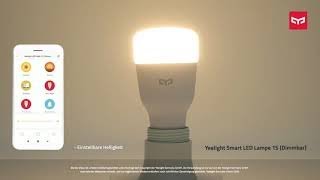 Xiaomi Yeelight Smart LED Ceiling Lamp  подключение и тестирование потолочного светильника [upl. by Asen]