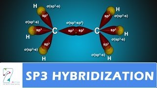 Sp3 HYBRIDIZATION PART 02 [upl. by Charline]