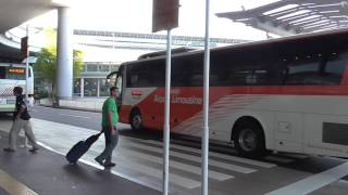 Take The Airport Limo Bus from Narita Airport into Tokyo [upl. by Yesnel]