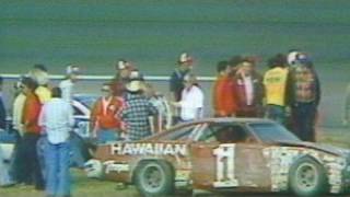 Fights The Infamous Fistfight 1979 Daytona 500 Offici [upl. by New]