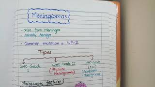 Meningioma Pathology [upl. by Ahsiuqram]