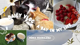 Vlog🌸Sprzątanie🧹Odpoczynek z kotami🐾Polecajki💎Najlepsze śniadanie🍓🍓🍓Tulipany z DEALZ🌷 [upl. by Lavotsirc]