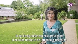 Dieuwertje Blok bezoekt het Hortusfestival  Klassiek viert de Zomer [upl. by Goldia]