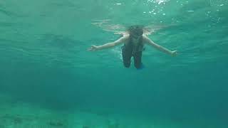 Cozumel Snorkeling [upl. by Wall]