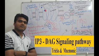 IP3 DAG signaling pathwayPIP2Cascade GPCRCalcium amp Phospholipase C Pathway Tricks amp Mnemonic [upl. by Nosyerg]