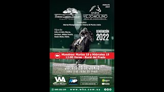 19062024 Exhibición de productos 2022 de Haras Cuatro Piedras y Haras Viejo Molino [upl. by Esidarap929]