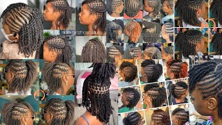 New amp Latest Natural Hair Twist Braids Styles For African women [upl. by Coumas]